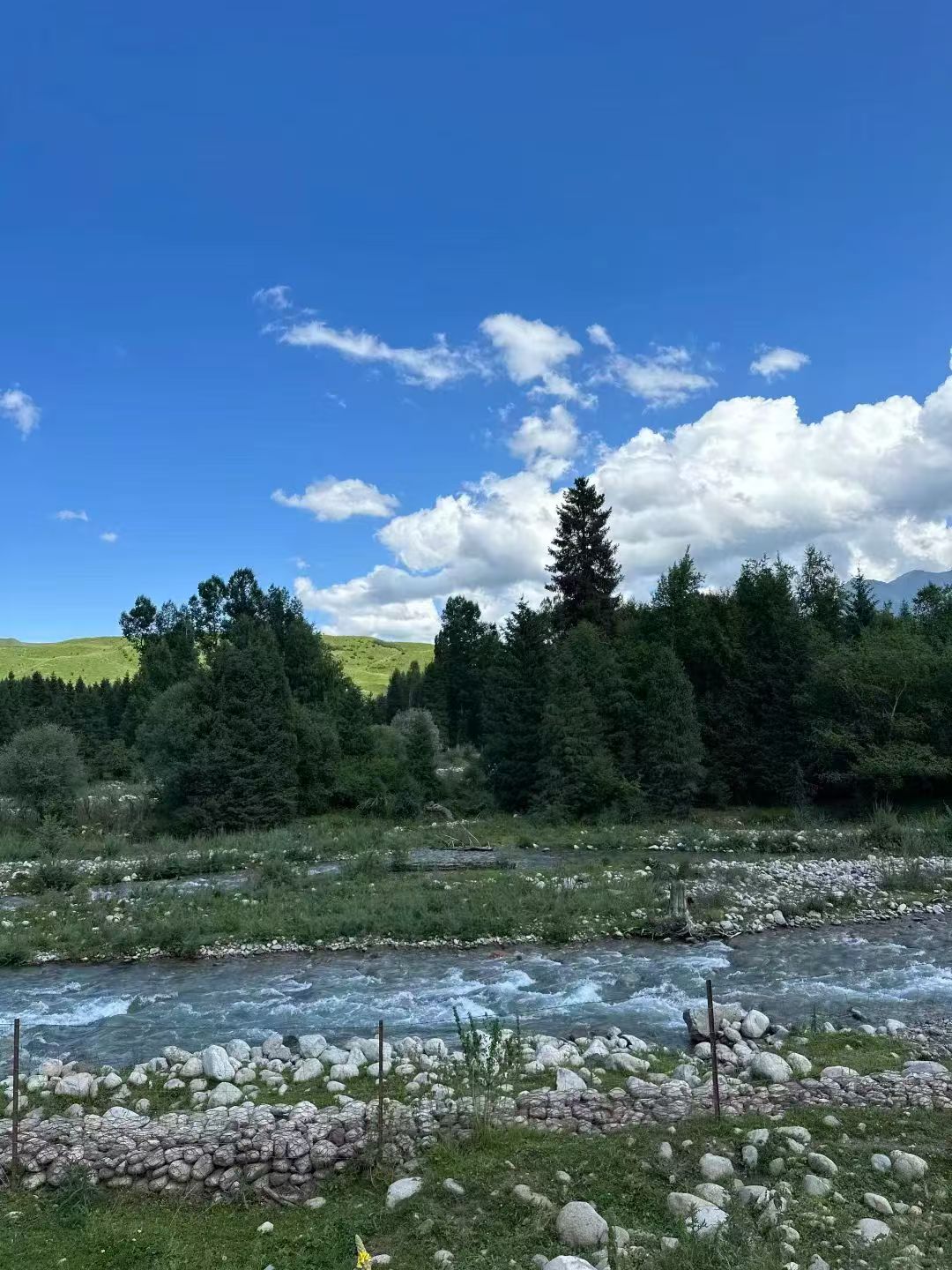 阿勒泰地旅游定制